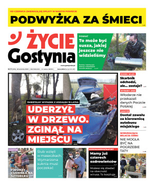 Miniatura wydania 17/2020